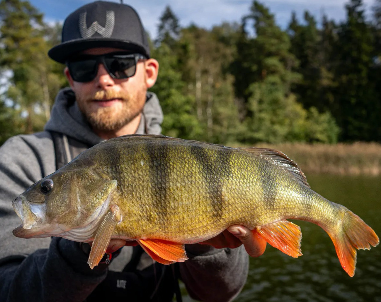 Westin W3 Finesse T&C 2nd 7'1''/213cm ML 5-15g 2sec